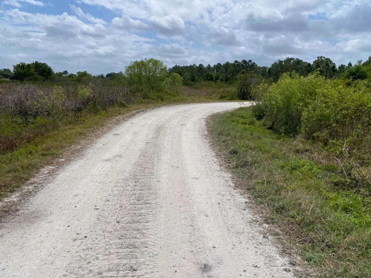 Albritton Loop trail photo
