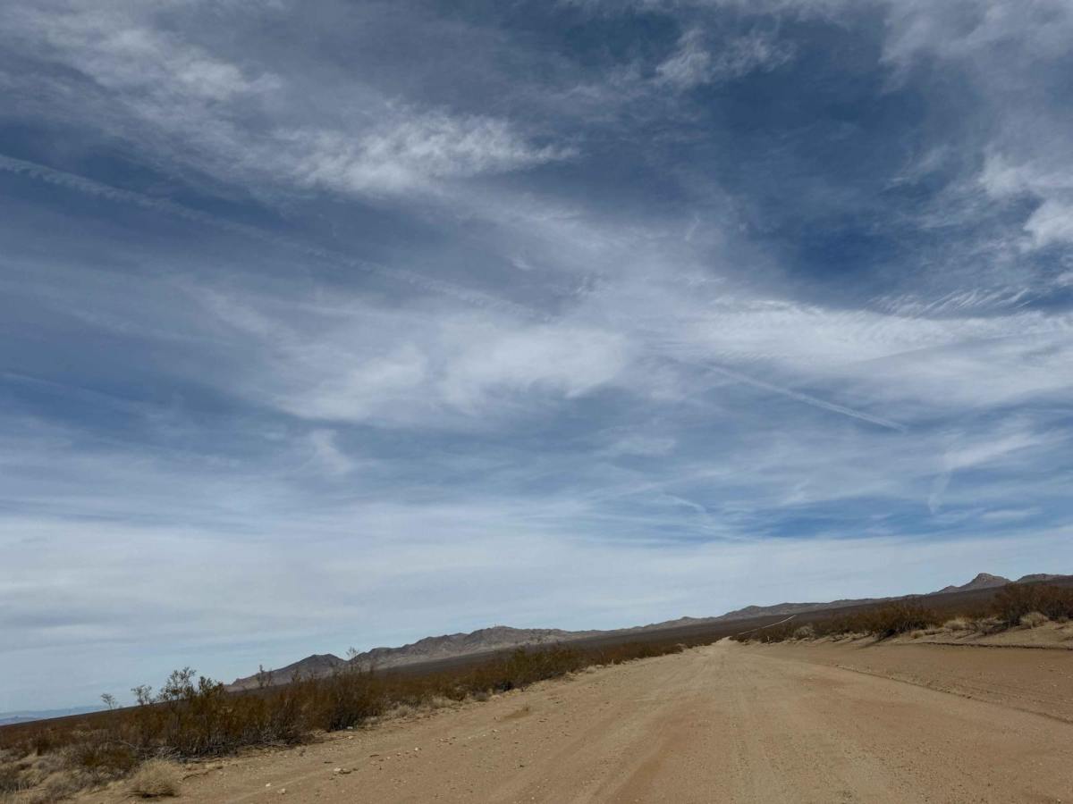 Nelson Cutoff Road photo 2