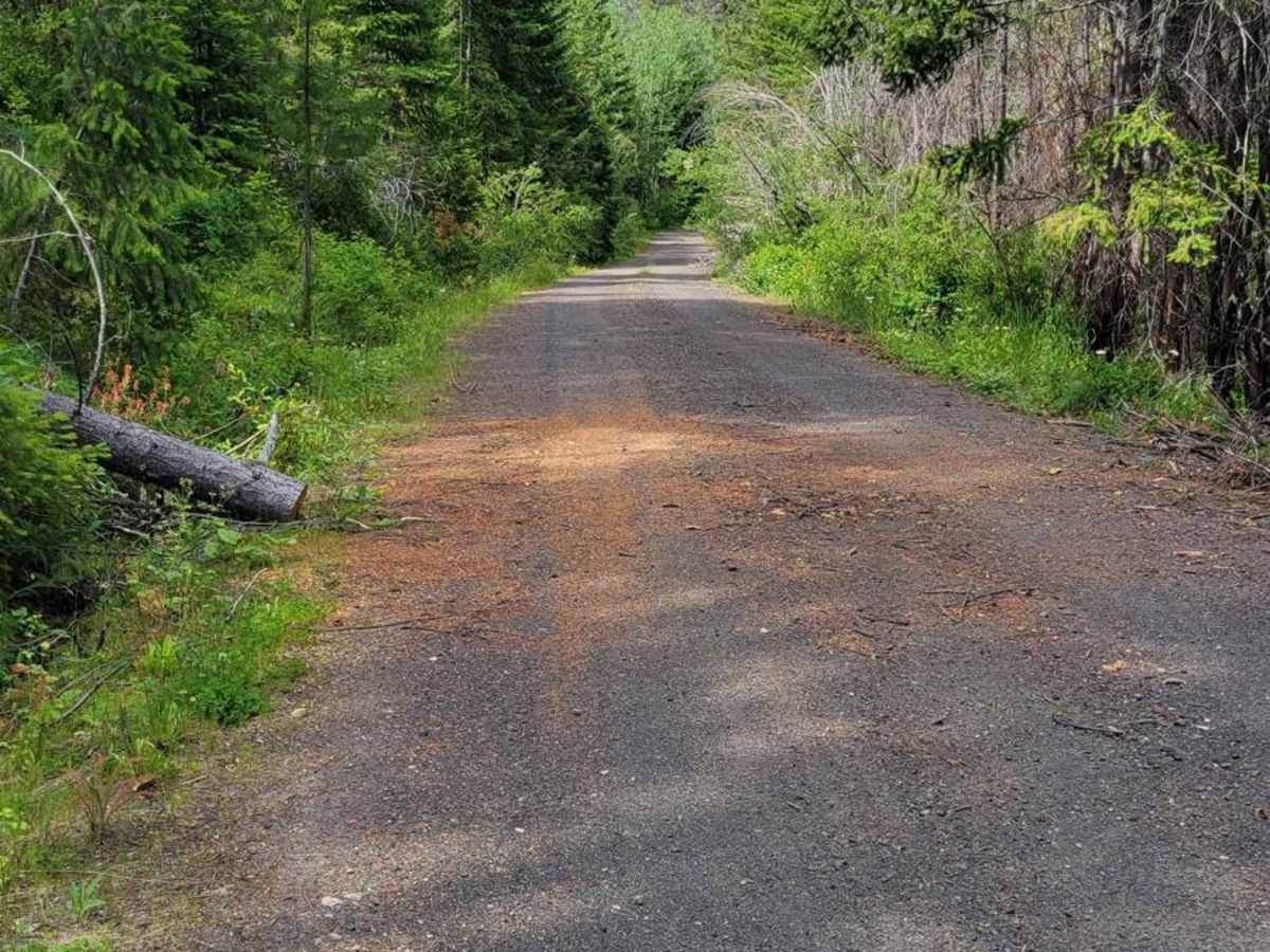 NF 500 - West Fork Buttermilk photo 3