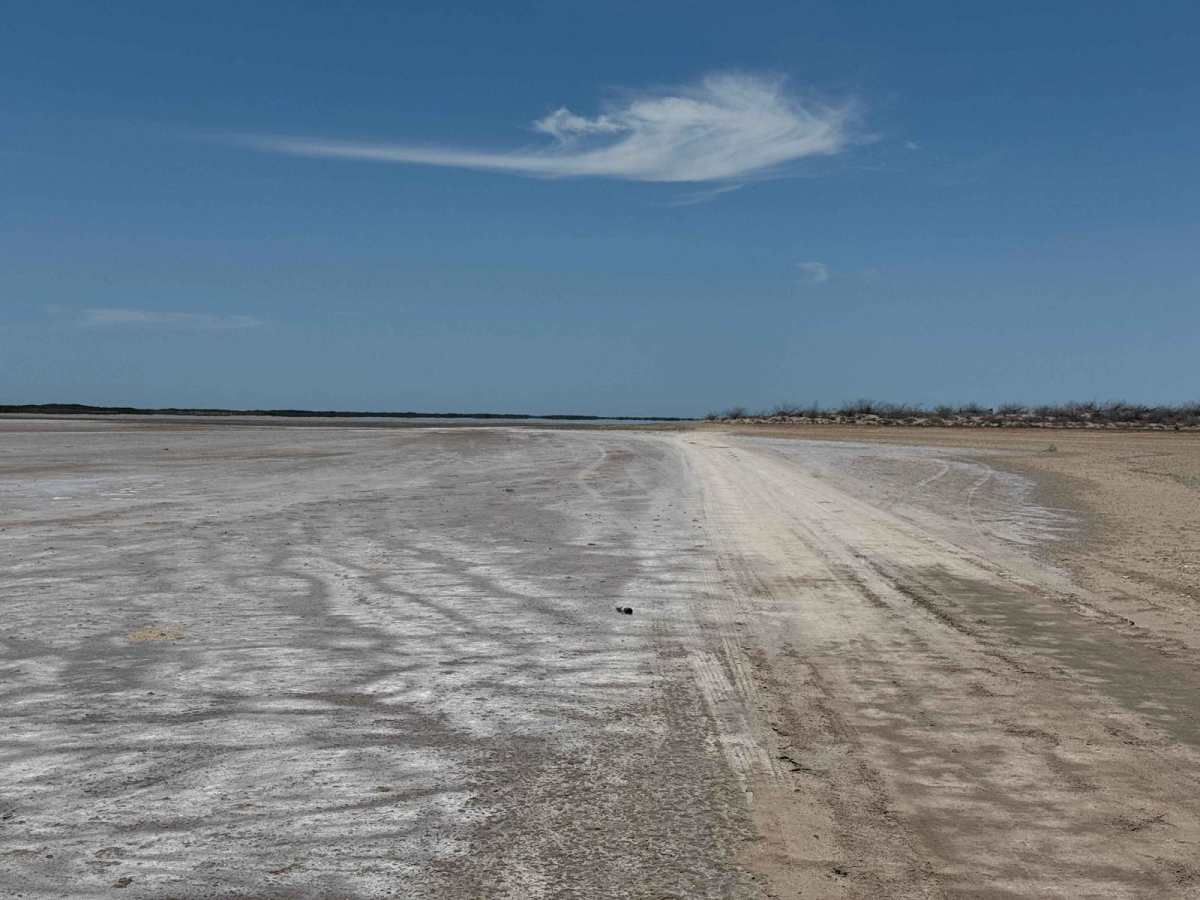 Salt Flats Datil trail photo