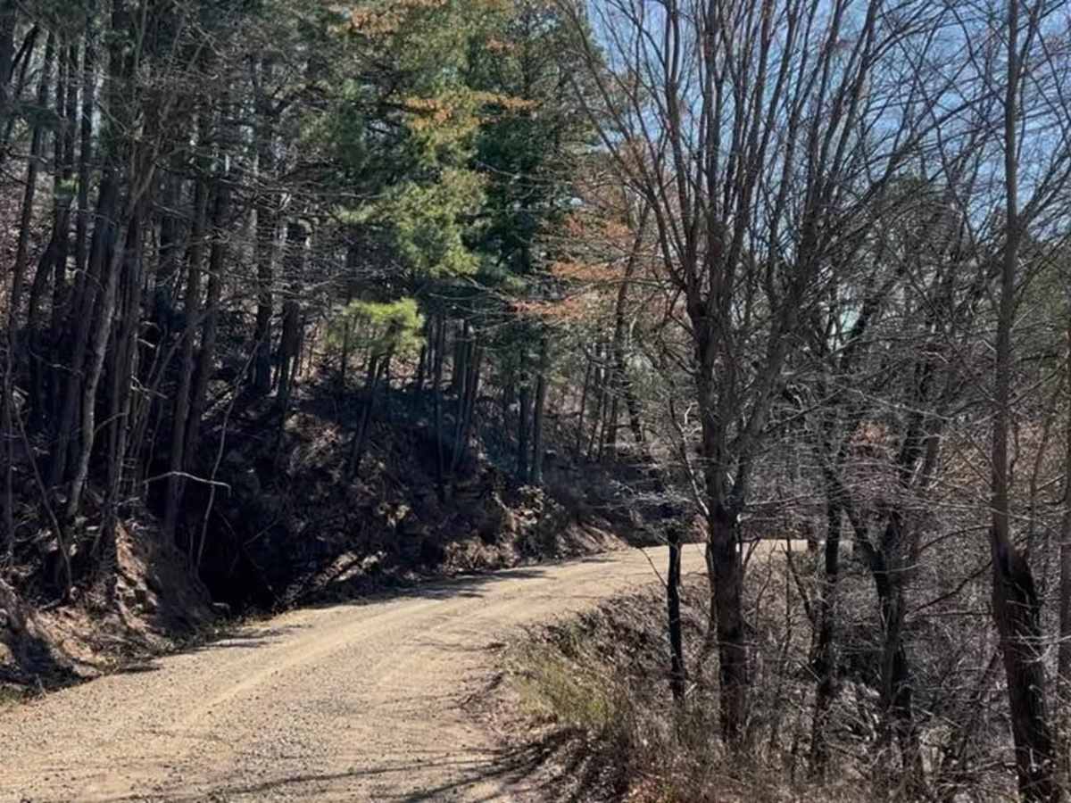 Woods Mountain Road photo 6