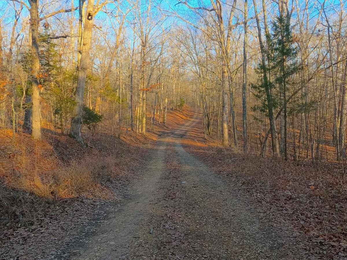 Fulk Cemetery Road - FS 309 photo 5