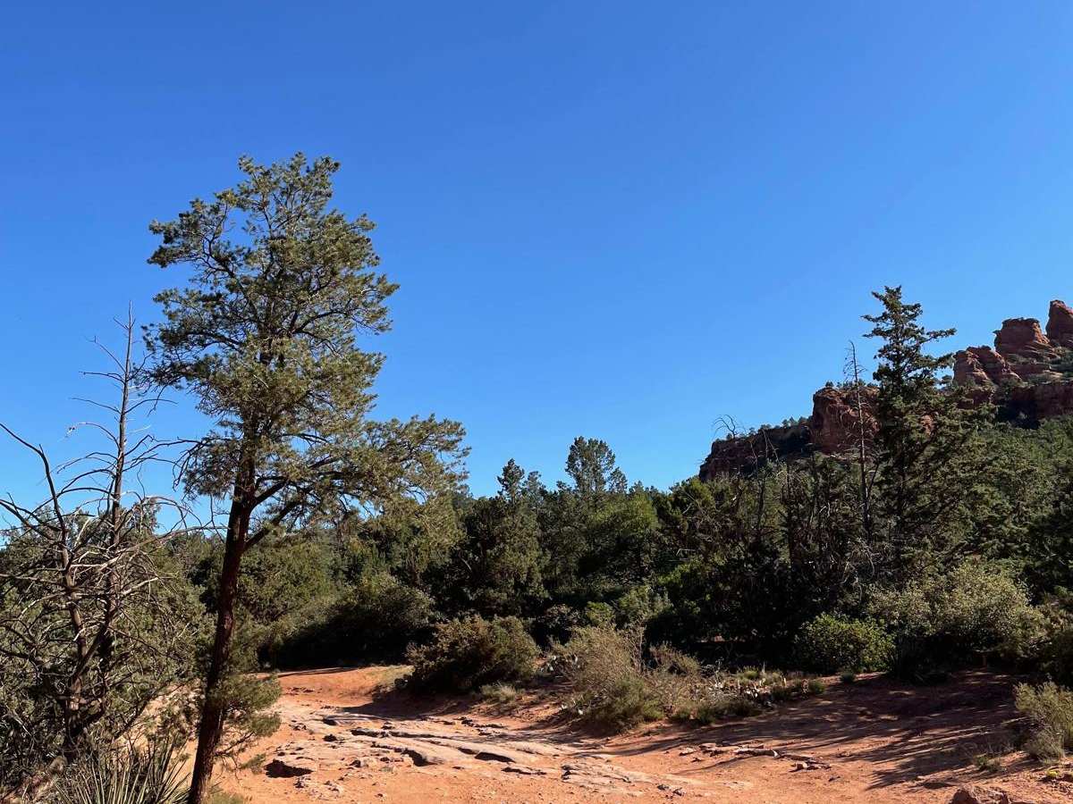 Road to Devil's Bridge & Van Deren Cabin photo 4