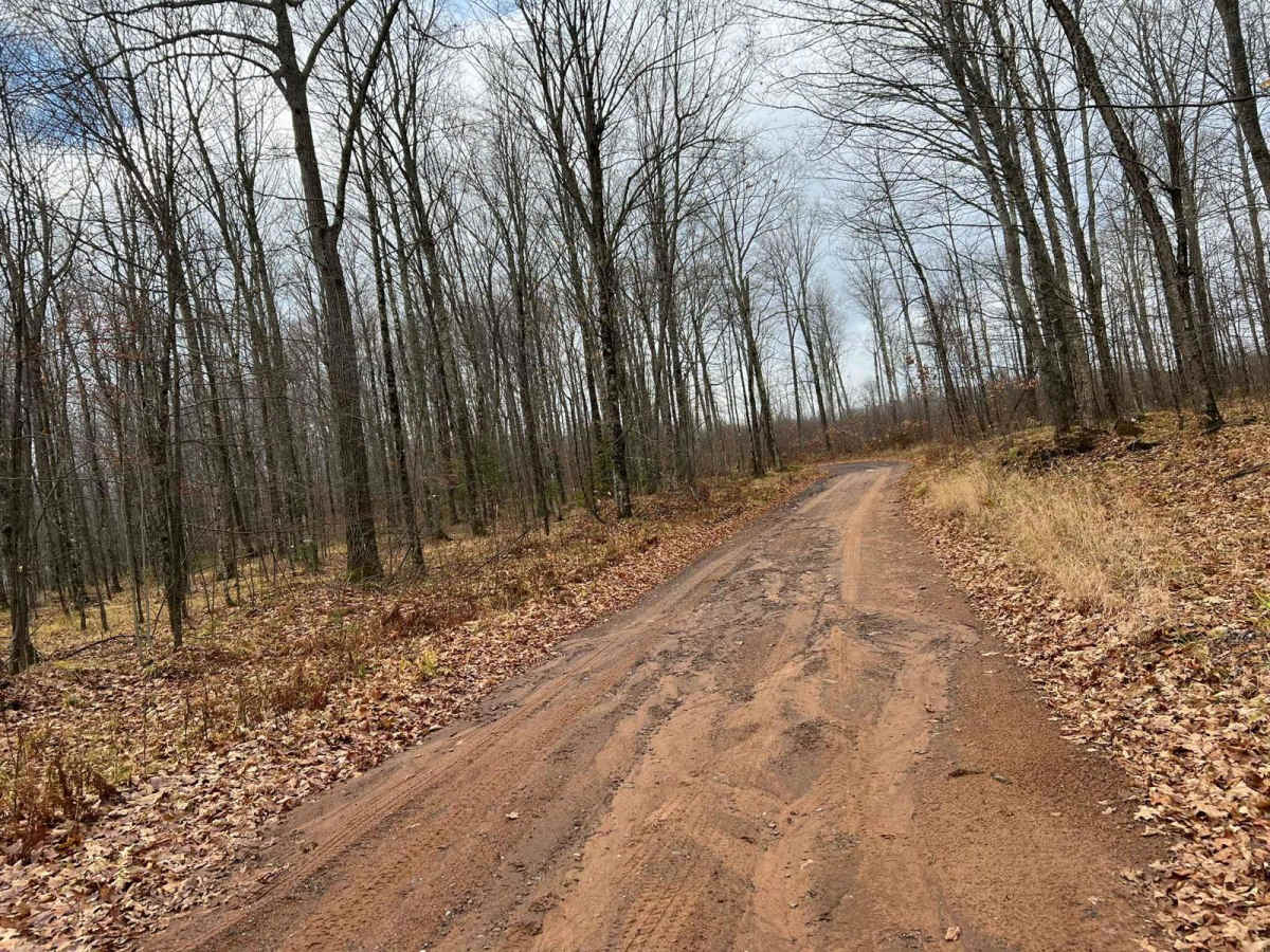 Florence County F6 Mark Peters Memorial Trail photo 4