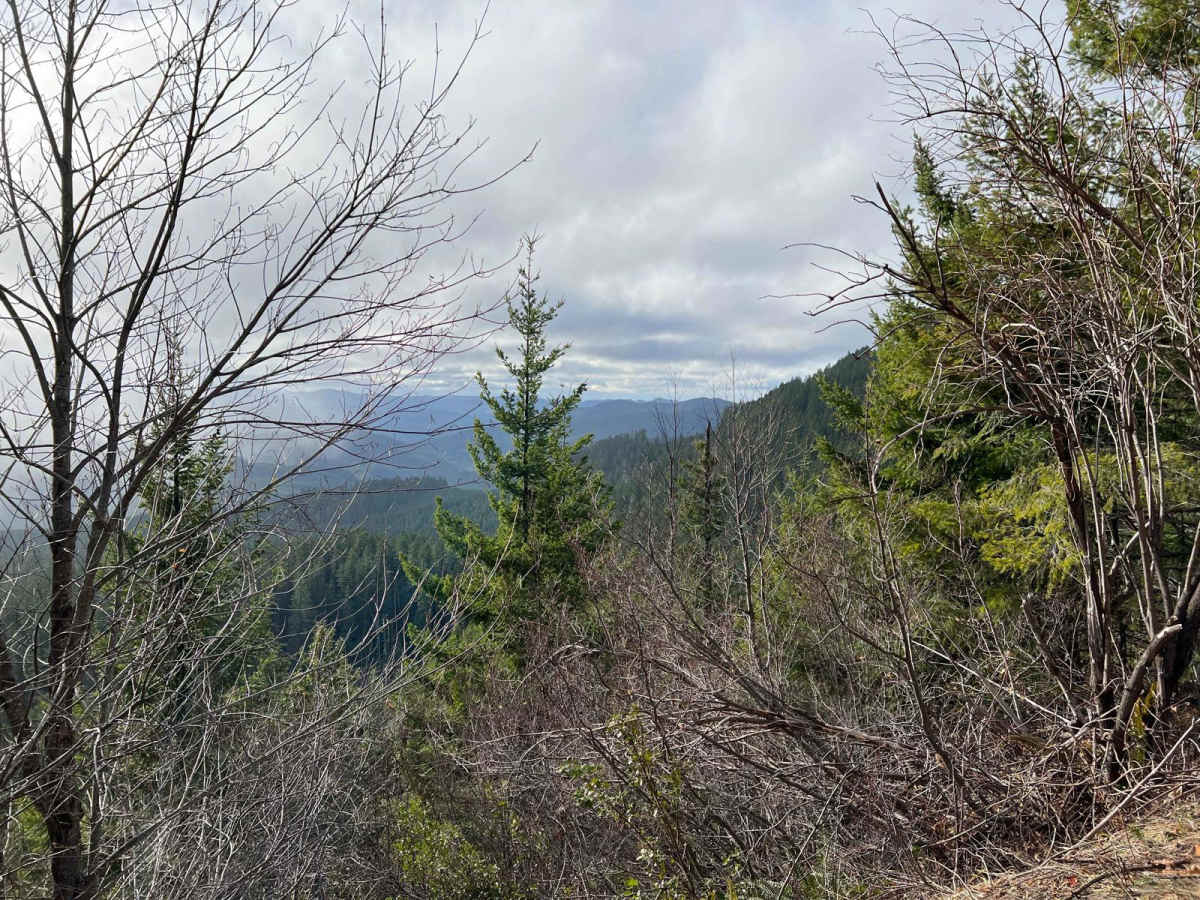 Mid Coast Ridge photo 6