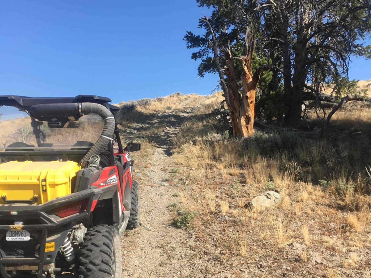 Peterson Creek Trail photo 5