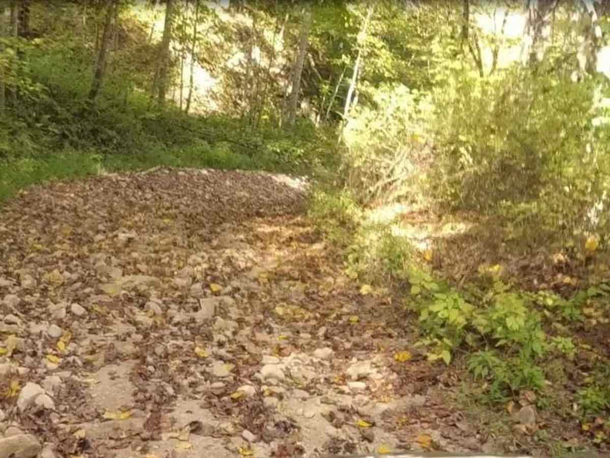 Martiki Trail trail photo