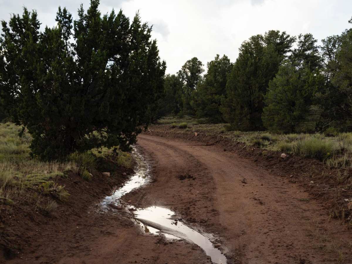 301 trail photo