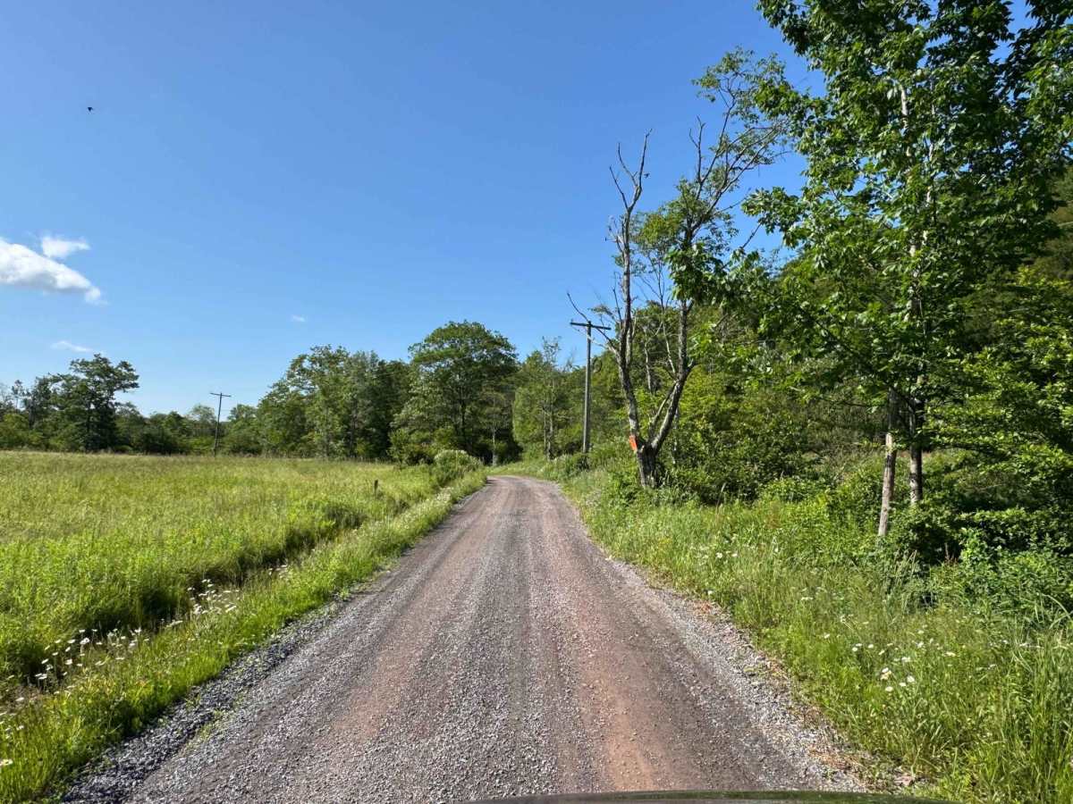Mary Smith Hill Road trail photo