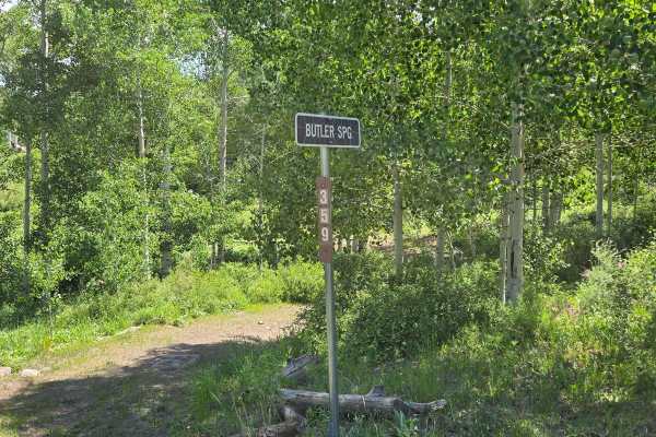 Butler Springs Trail - FS40359