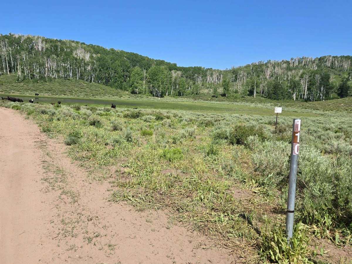 Rockwood - FSR40110 trail photo