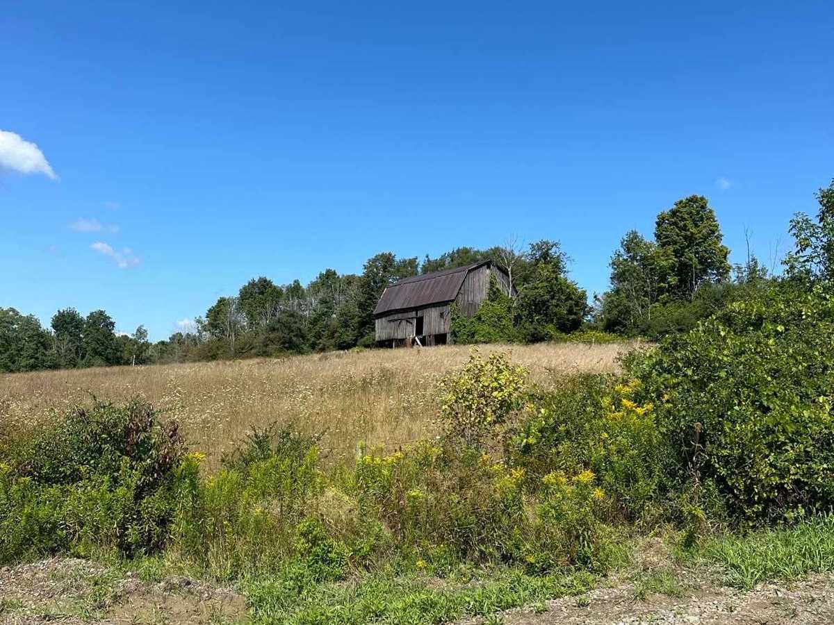 Ridge Road photo 6