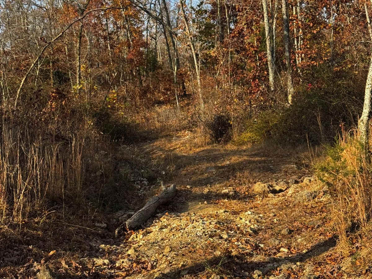 Rocky Road trail photo