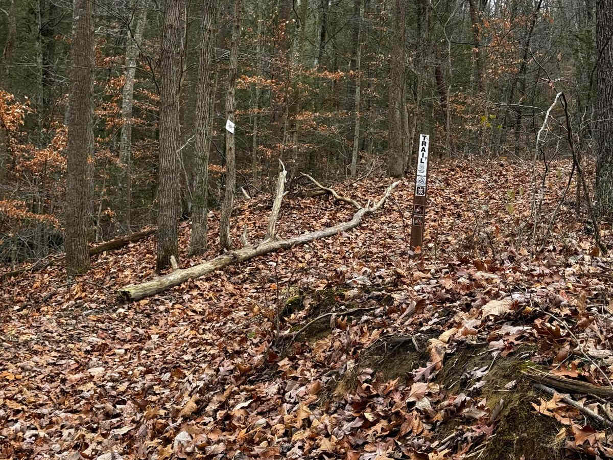 Johnson Hollow photo 5