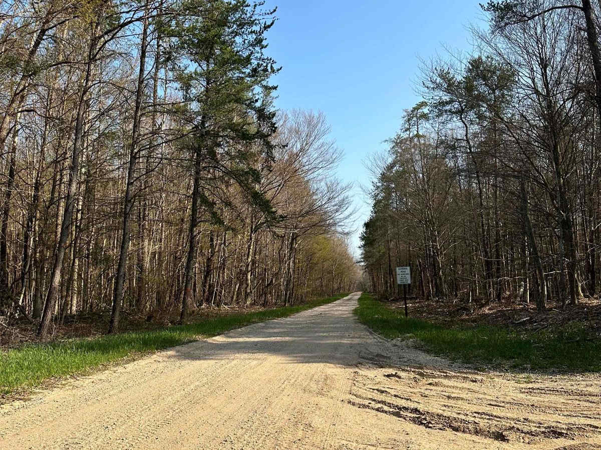 Cadillac Area ORV/OHV Scenic Ride - Part 8 photo 5