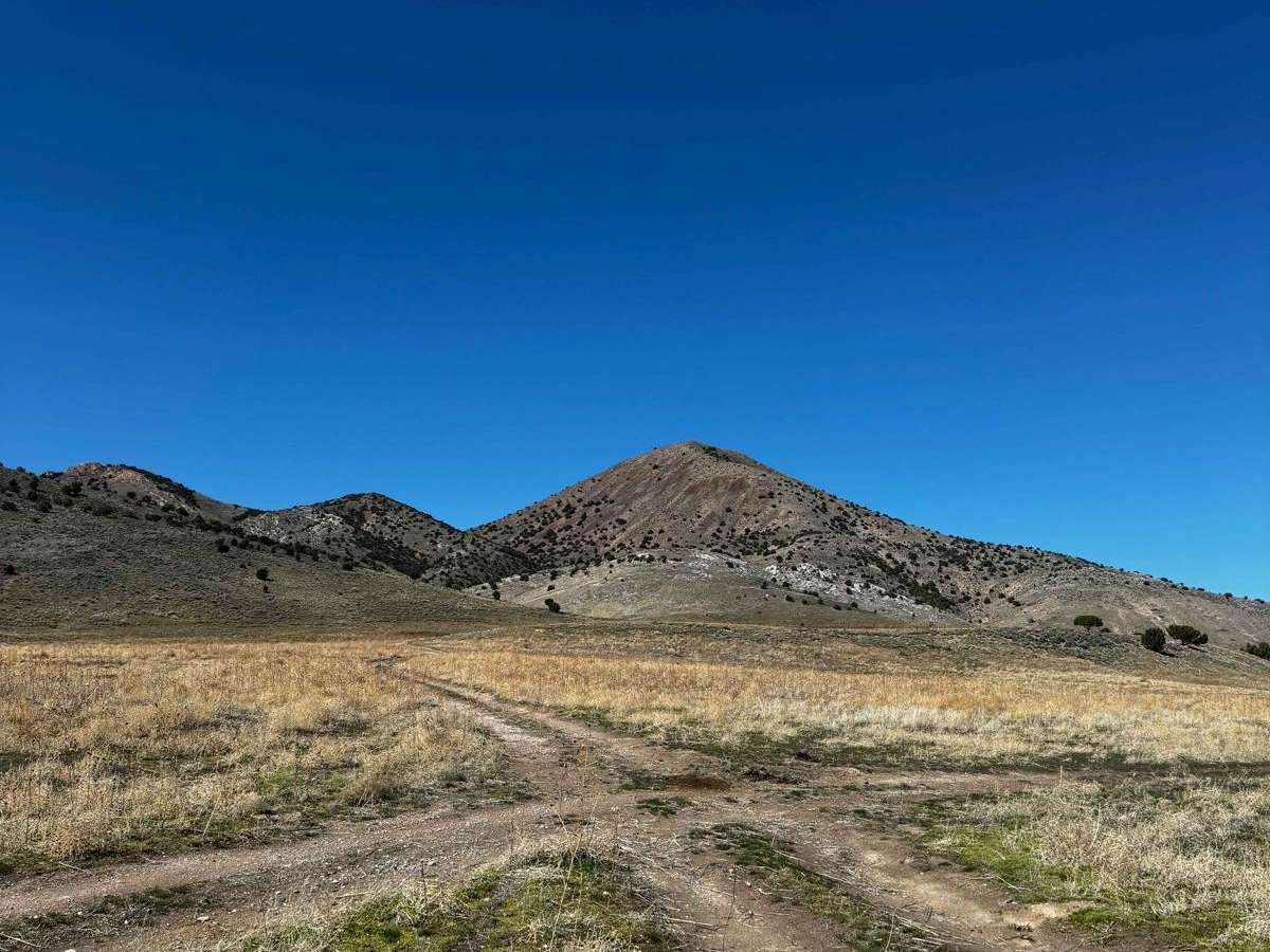Davis Mountain Loop photo 3