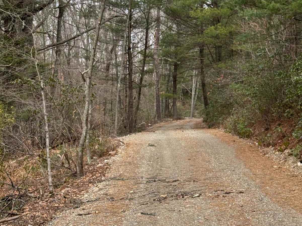 Wolf Run Road photo 3