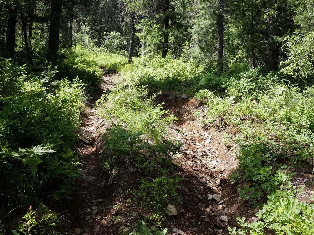 Slate Peak ATV photo 6
