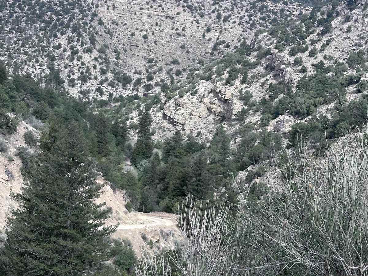 Turtle Canyon Road photo 5