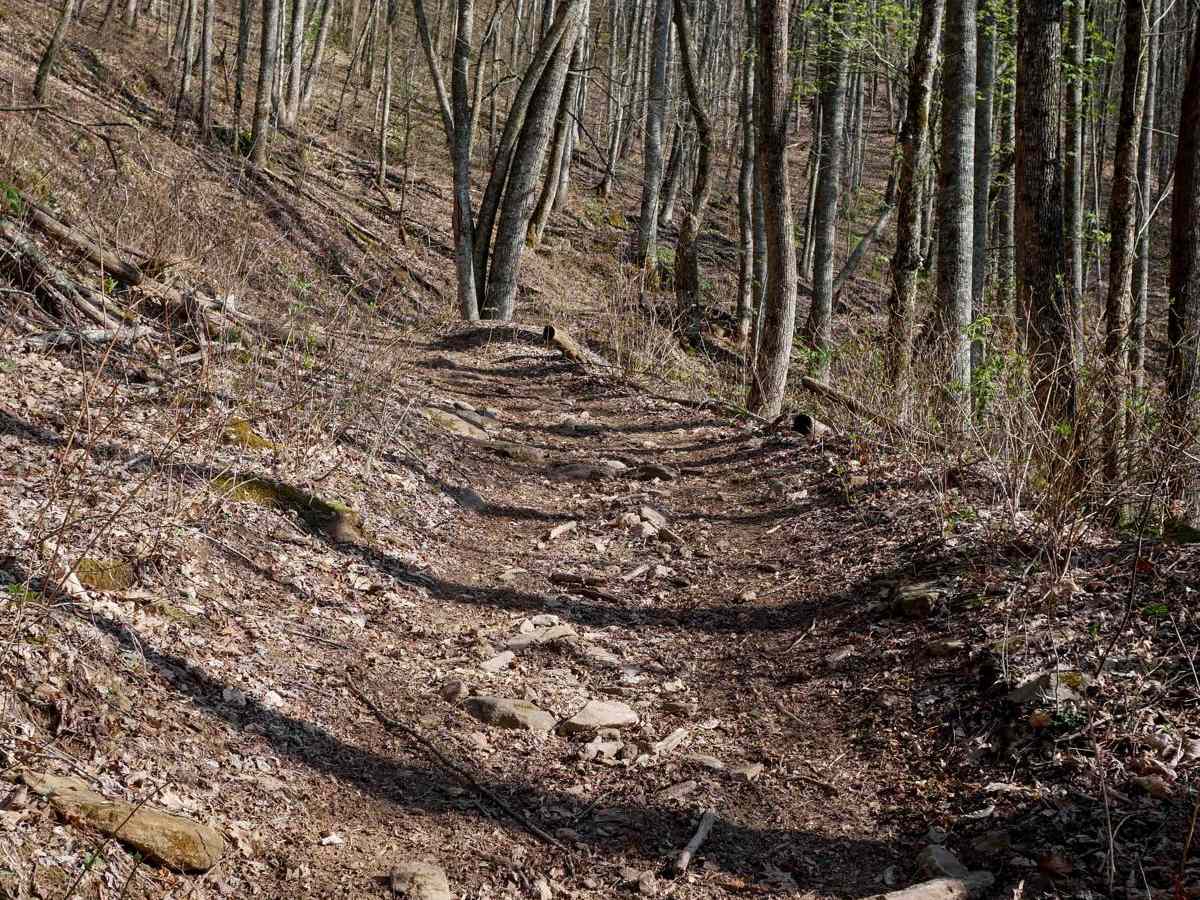Locust Gap Trail 2 photo 6