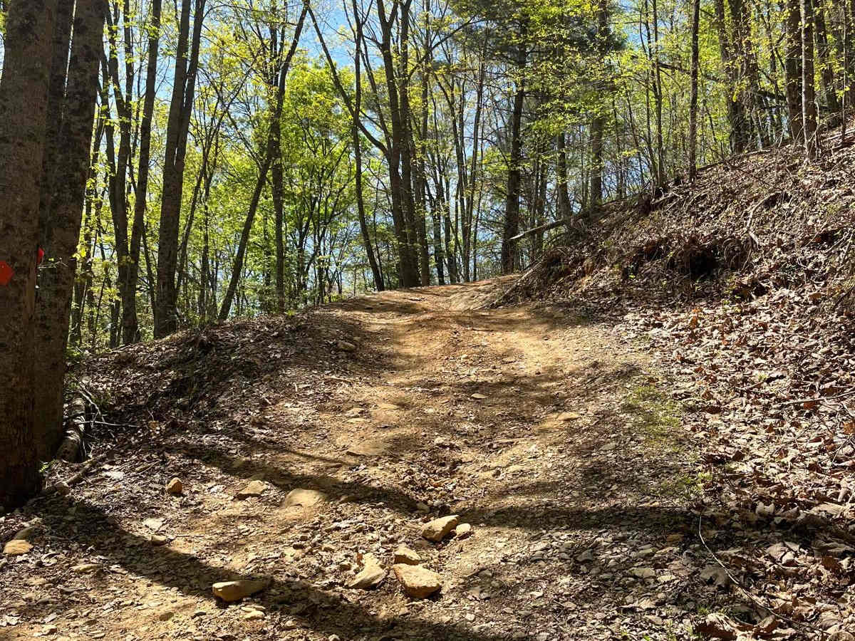 Hospital Cove trail photo