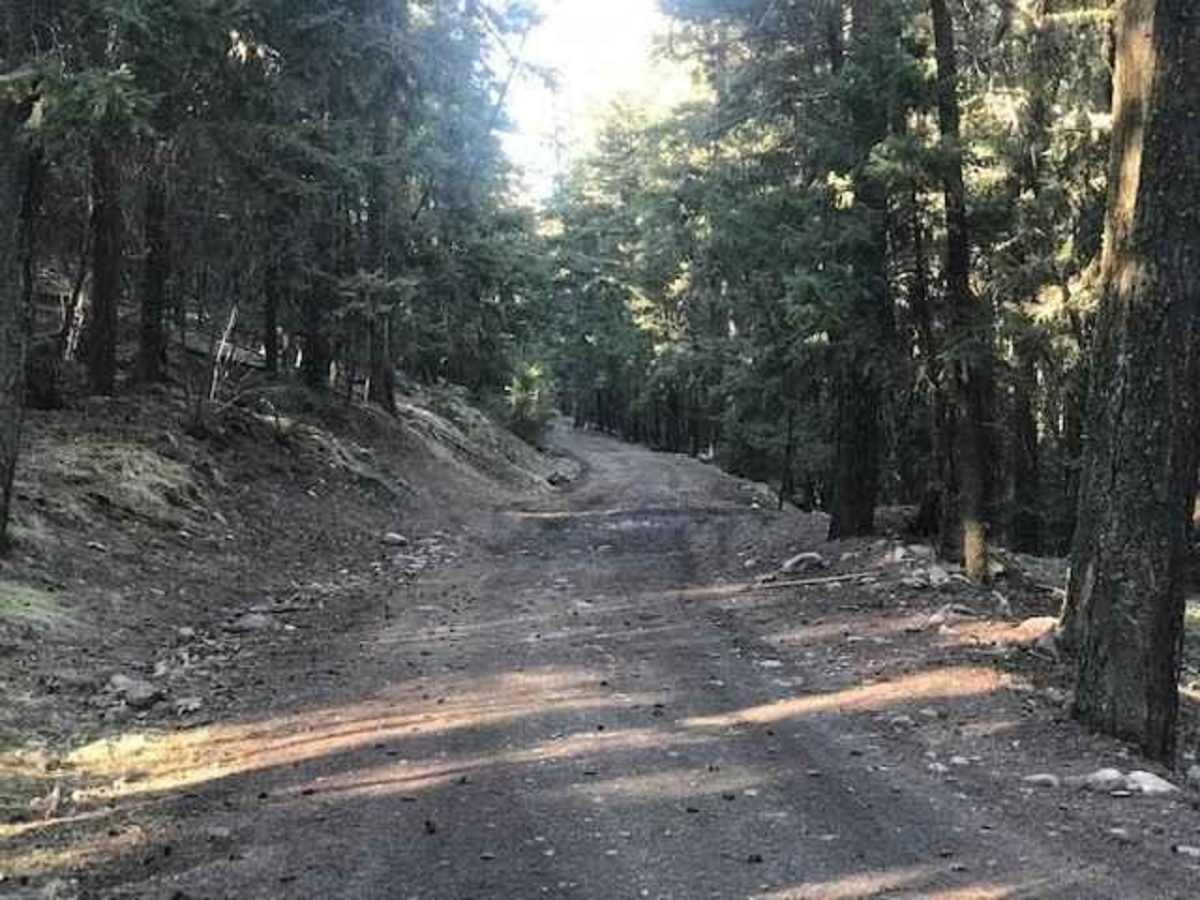 Long Lake Road to McQueen/Isobel Lake Road photo 6
