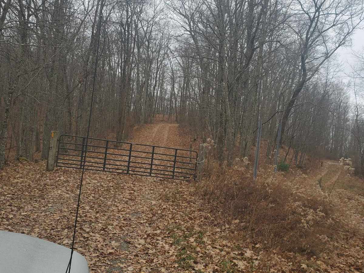 Stillhouse Run Road (FS304) photo 5
