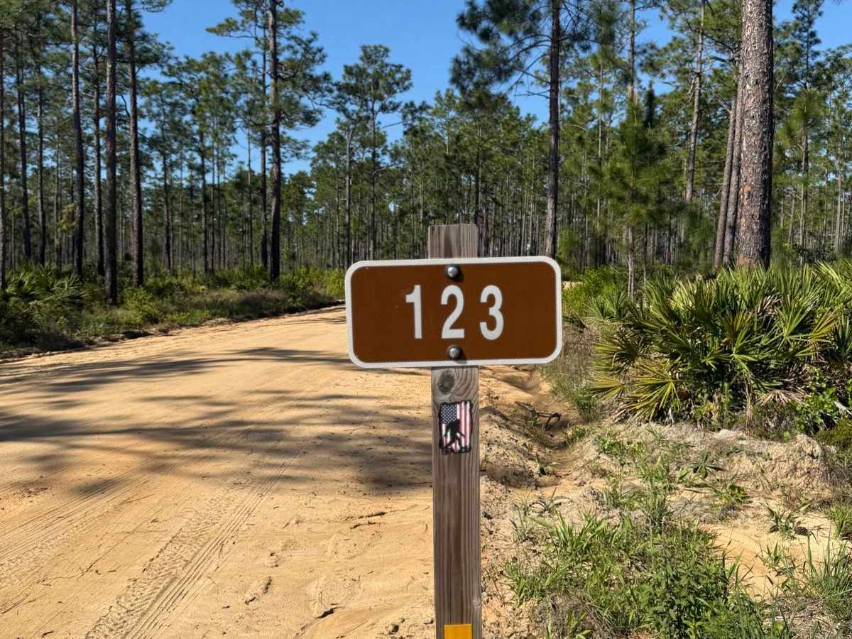 Briar Patch Road - FS 123 South trail photo