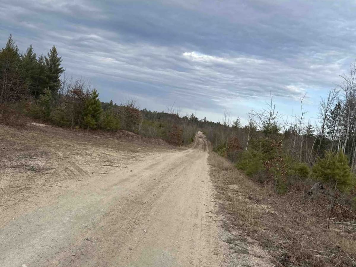 Norway Ridge Trail photo 3