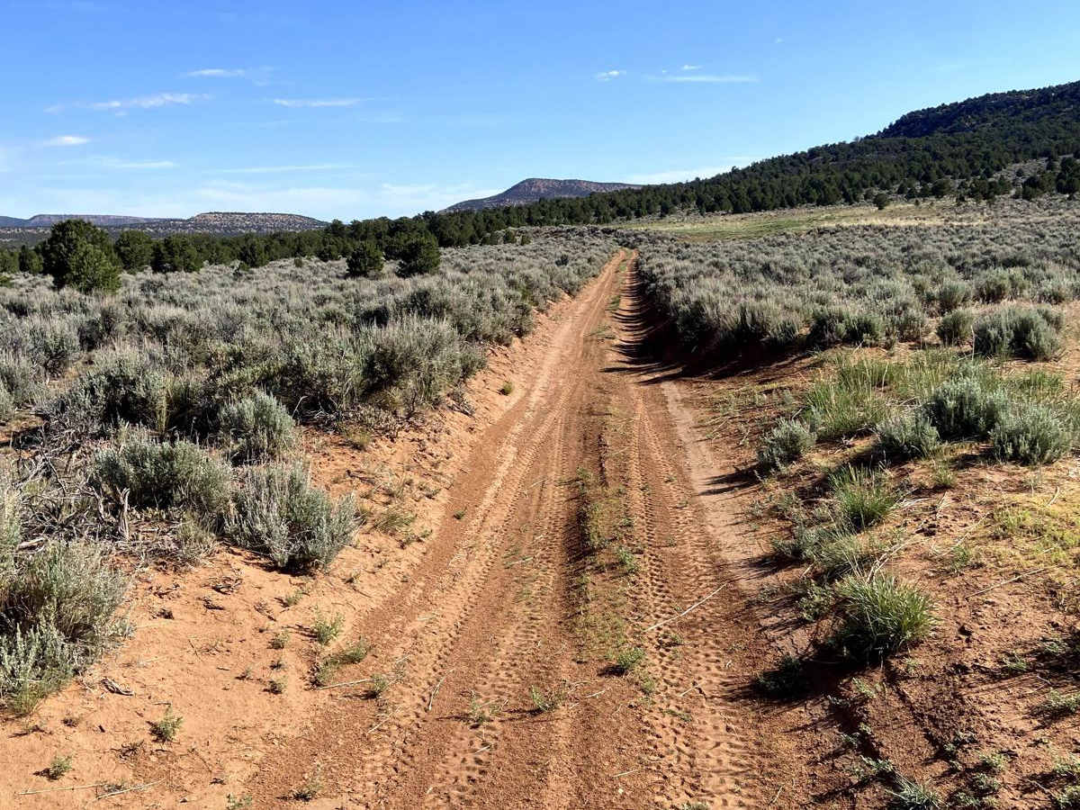 BLM Route 017 photo 2