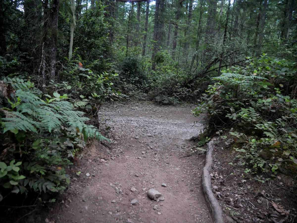 Staging Access Trail photo 5