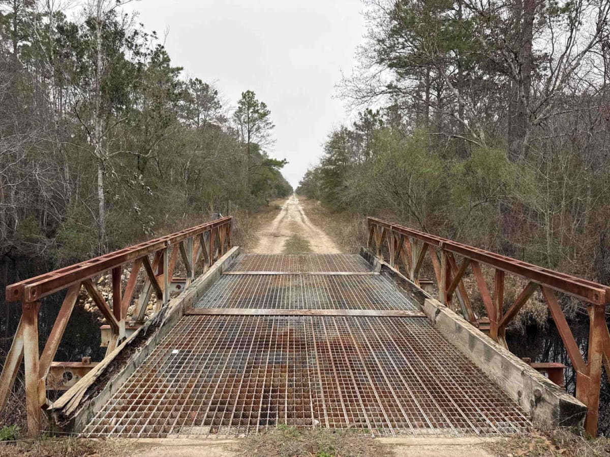 Pine Log Road photo 2
