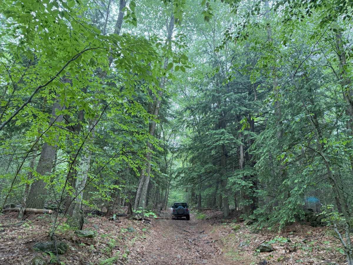 Brimstone Corner Road photo 3