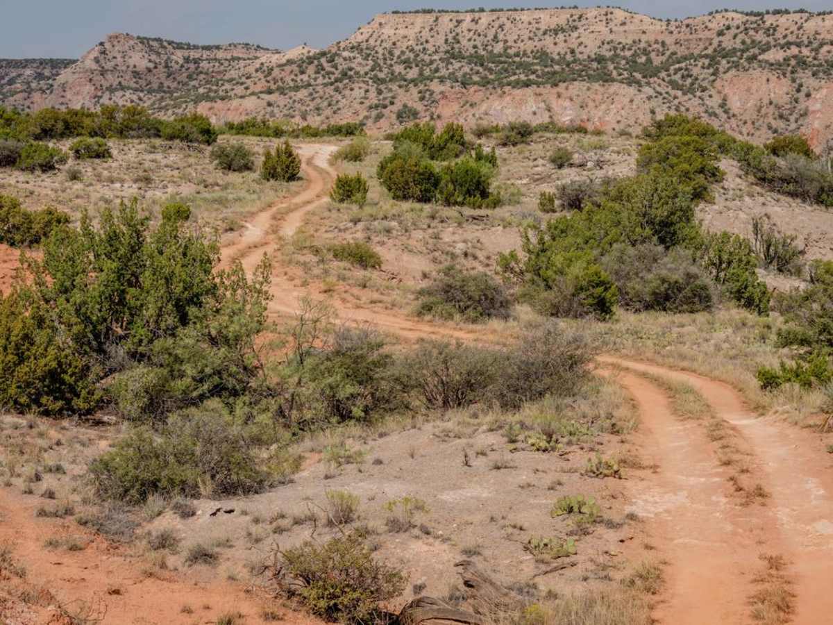 Back 40 Short Cut trail photo