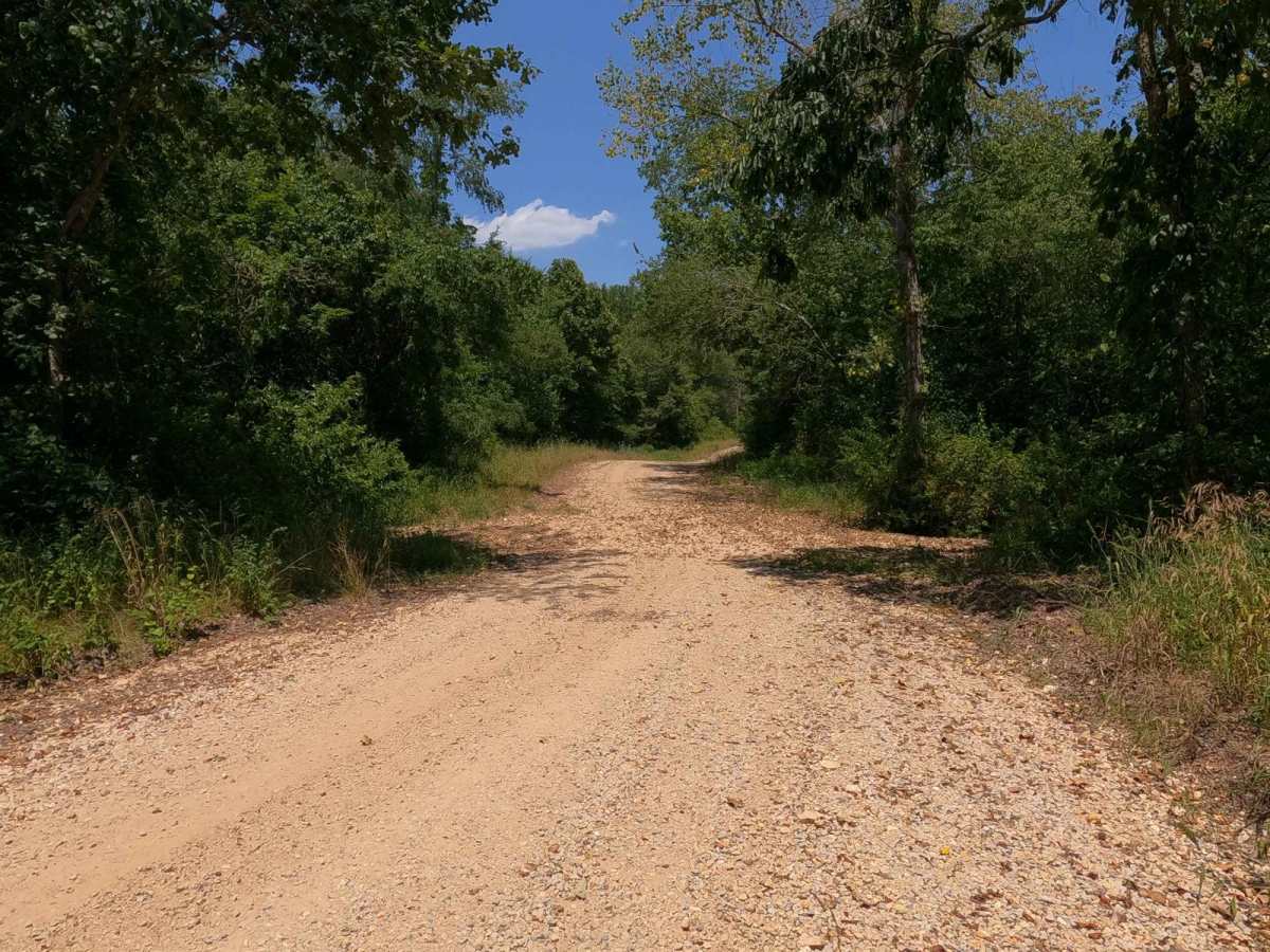 Castor River CA Camp Road photo 3