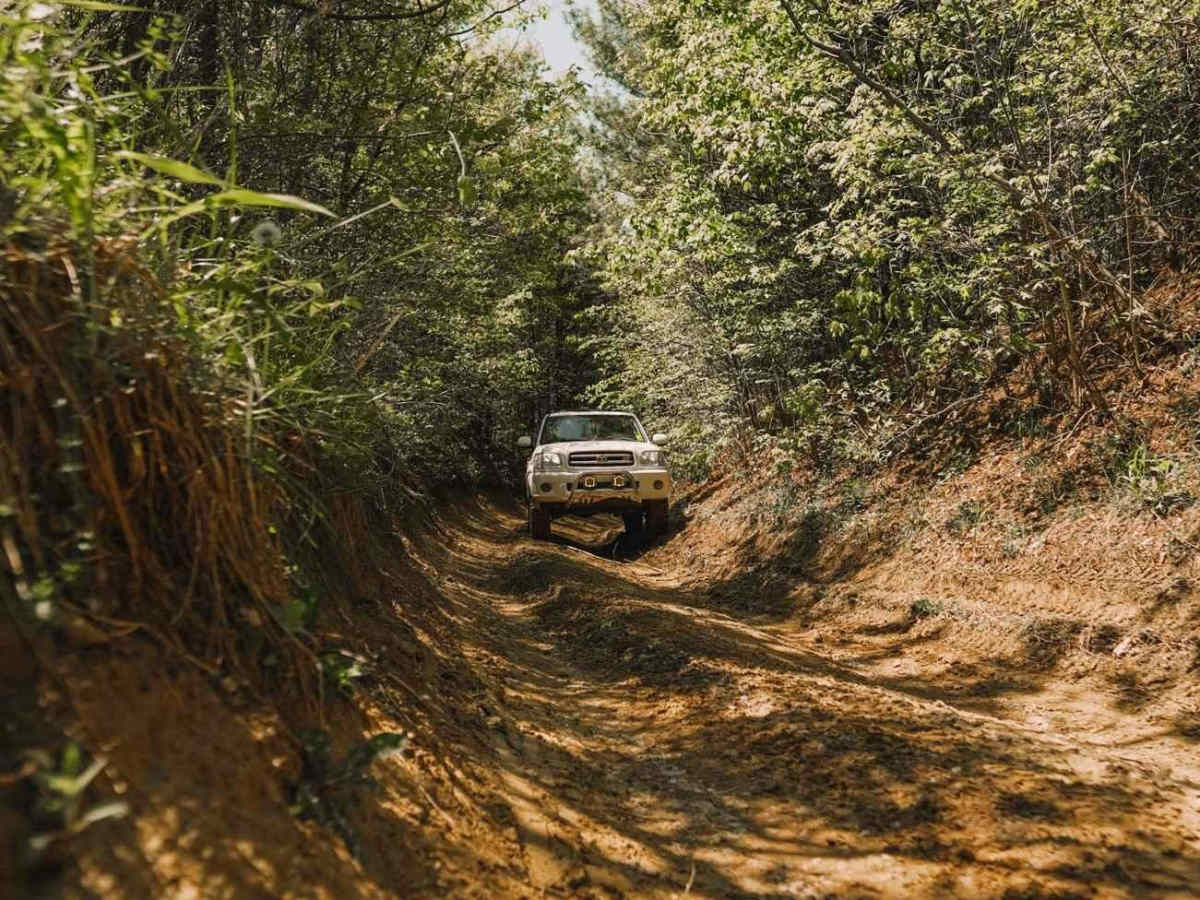 Hutt Road - Tight Squeeze trail photo