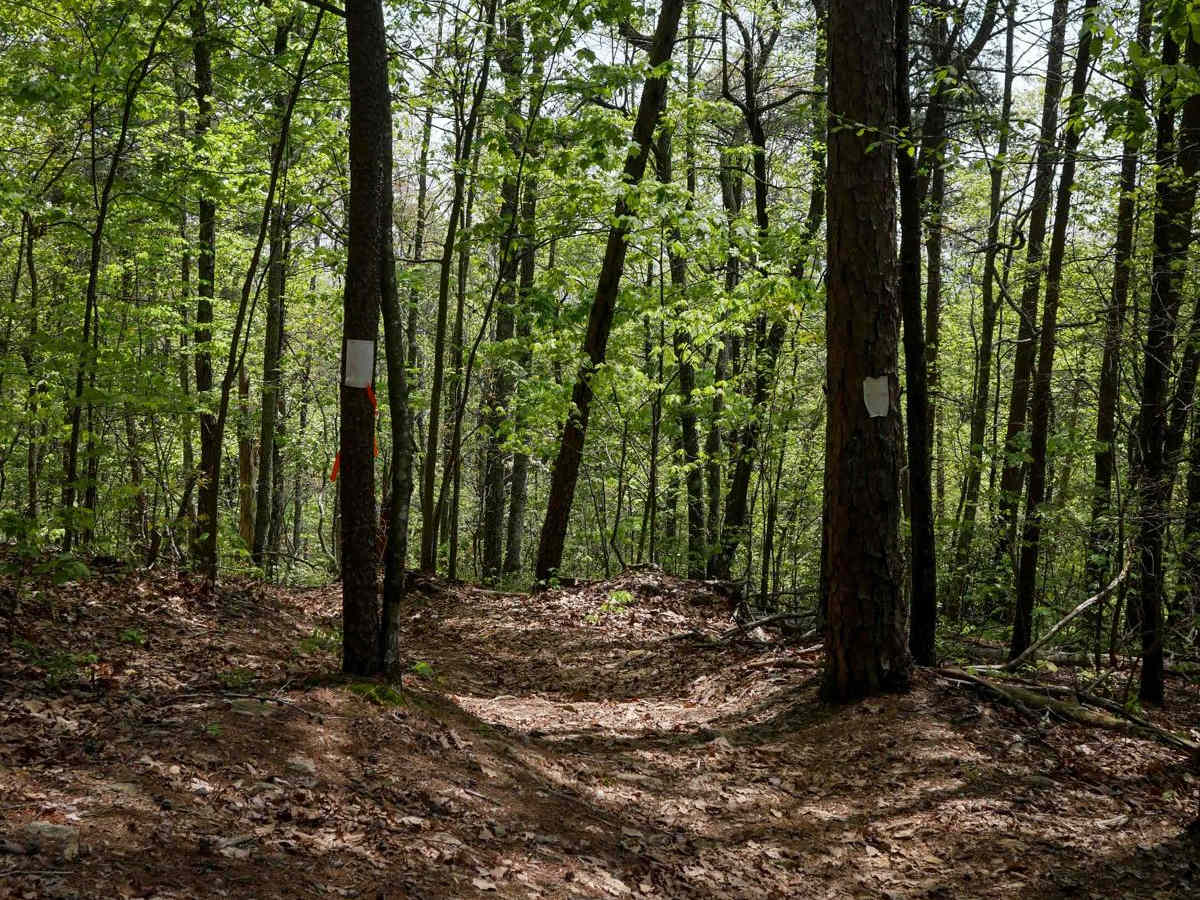 Copperhead Trail B photo 2