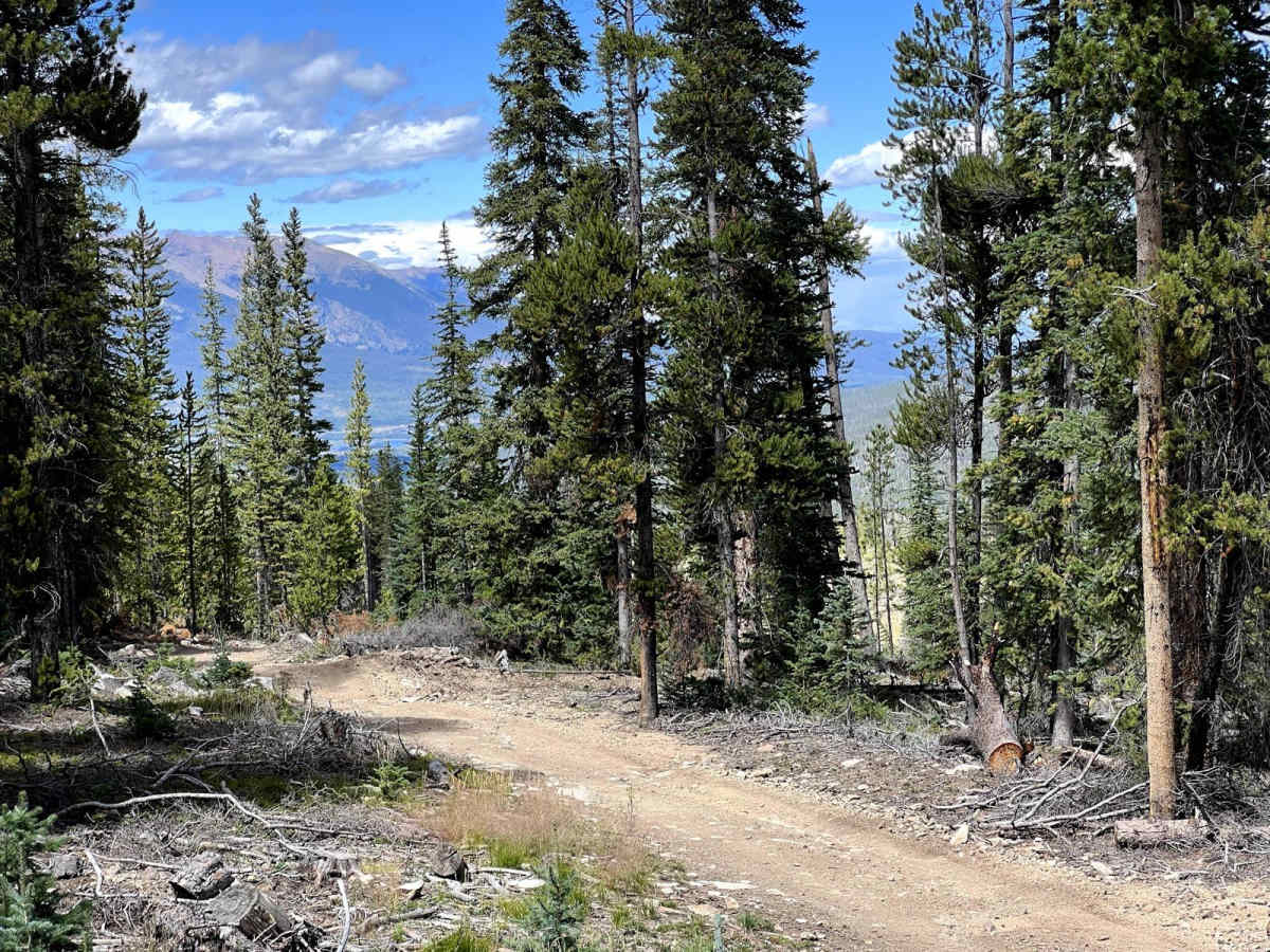Summit Gulch (GH-74) photo 3