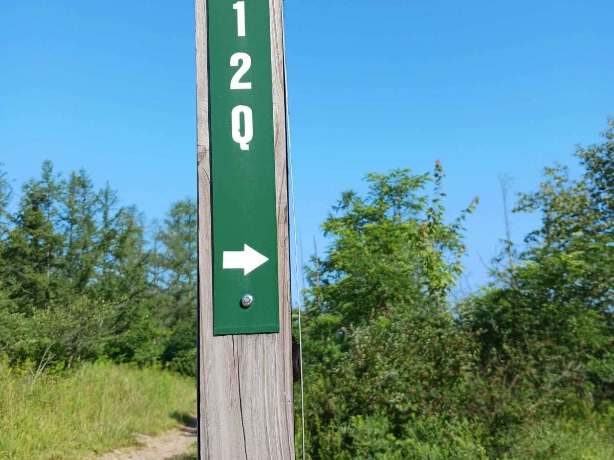 Trail 12Q - Rock Run Recreation Area trail photo