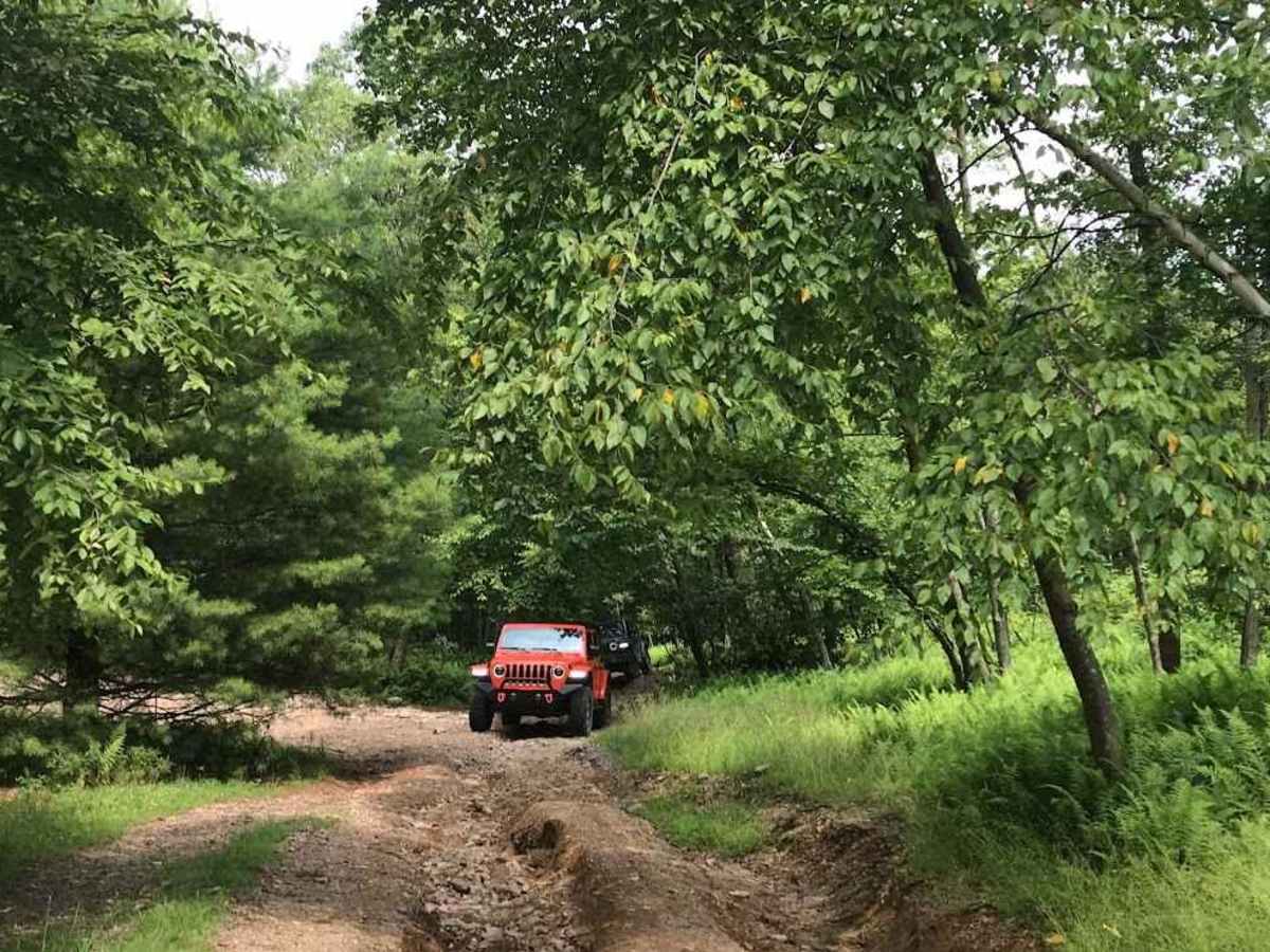 T6 trail photo