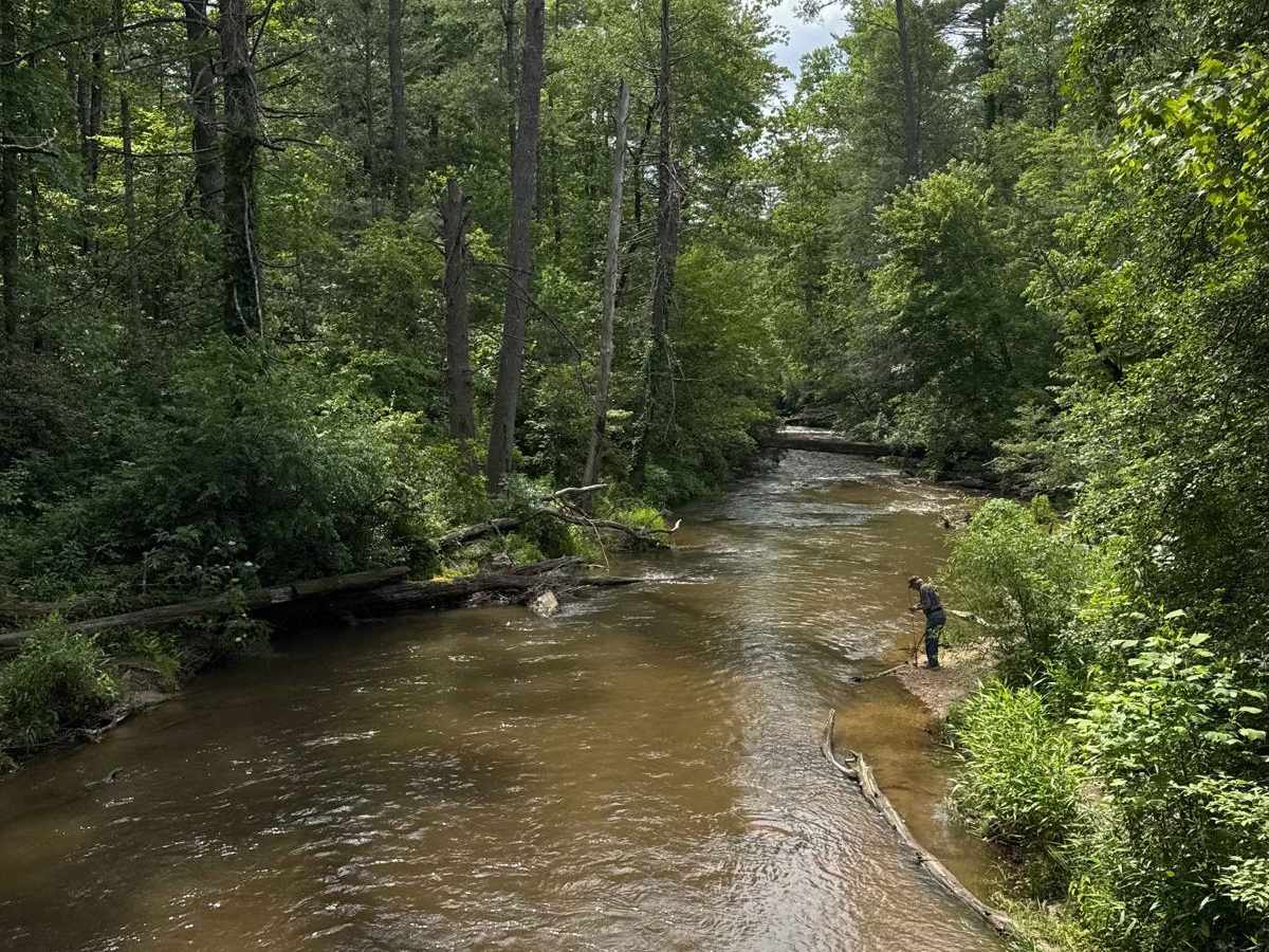 Rock Creek Road - FS 69 photo 2