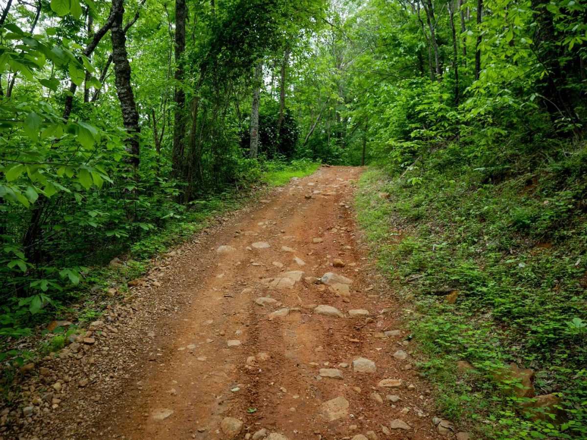 Lone Mountain trail photo