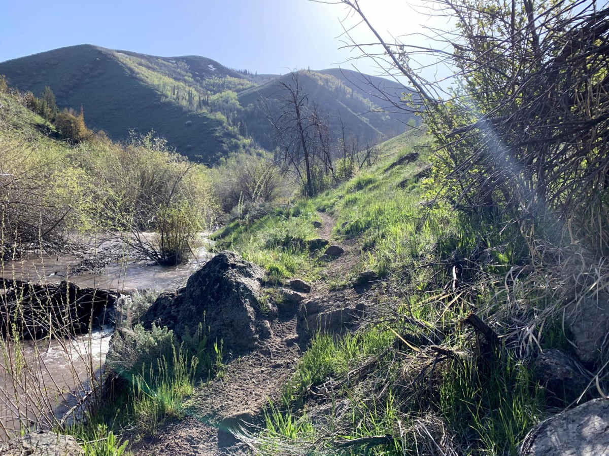 Third Fork photo 6