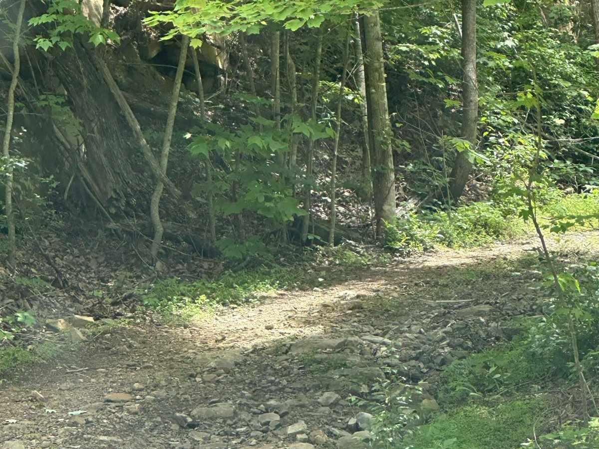 205C photo 2