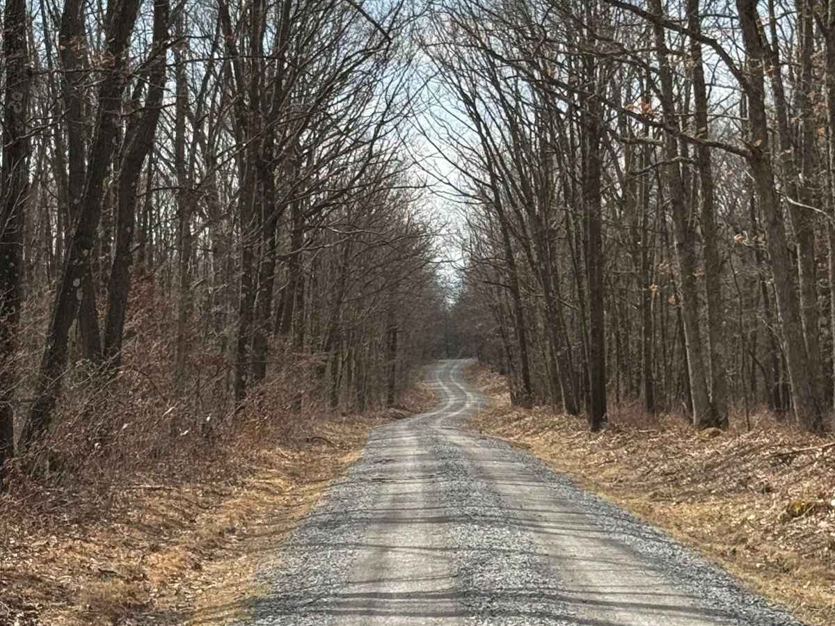 Allen Dam Road photo 5
