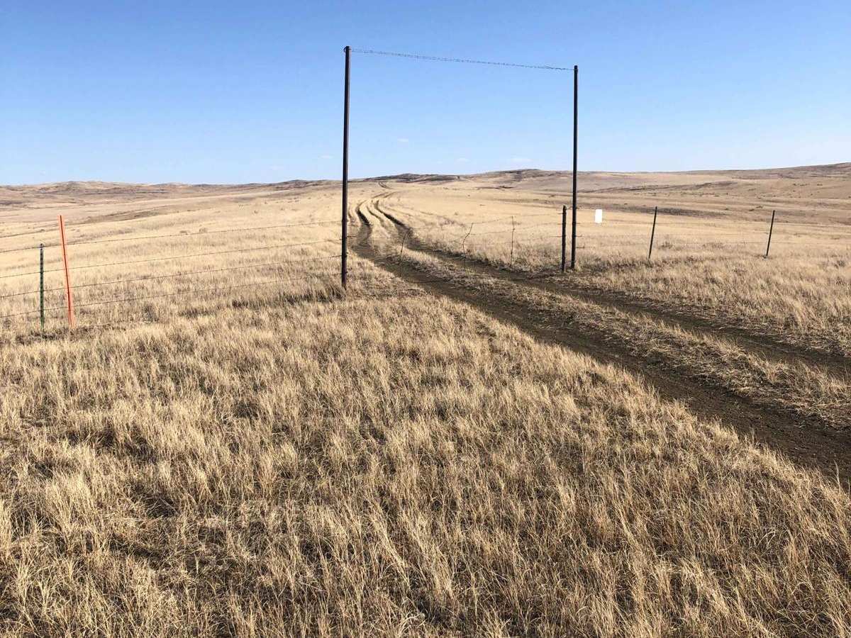 Trail 564 photo 3