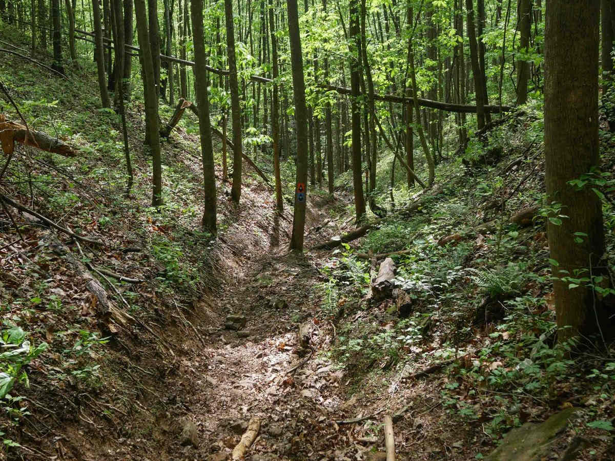 1C Shortcut photo 6