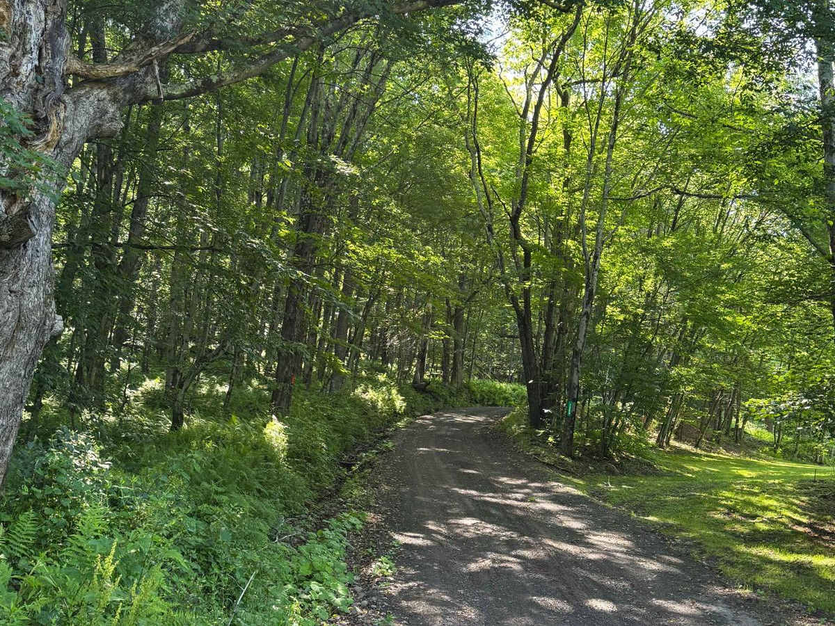 Mary Smith Hill Road photo 4