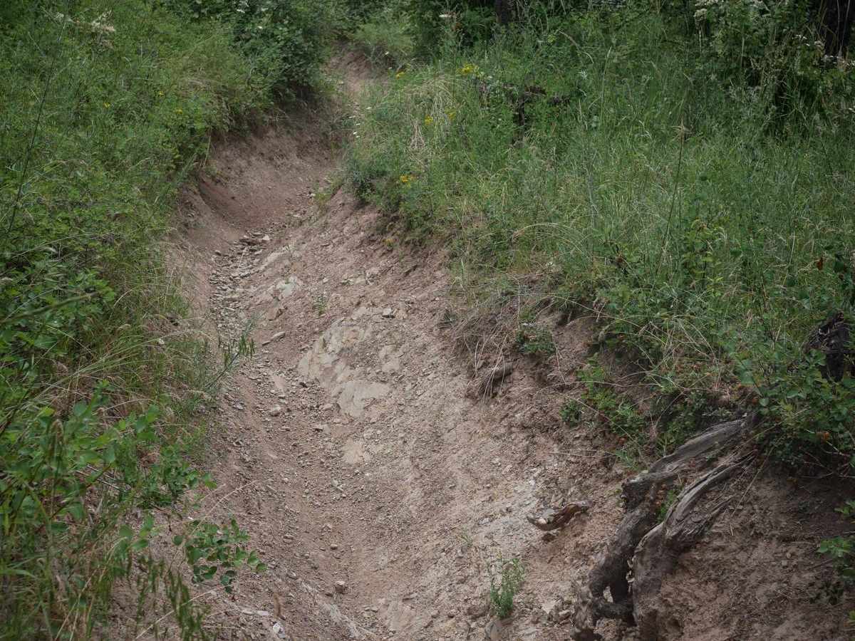 Trail 10 photo 2