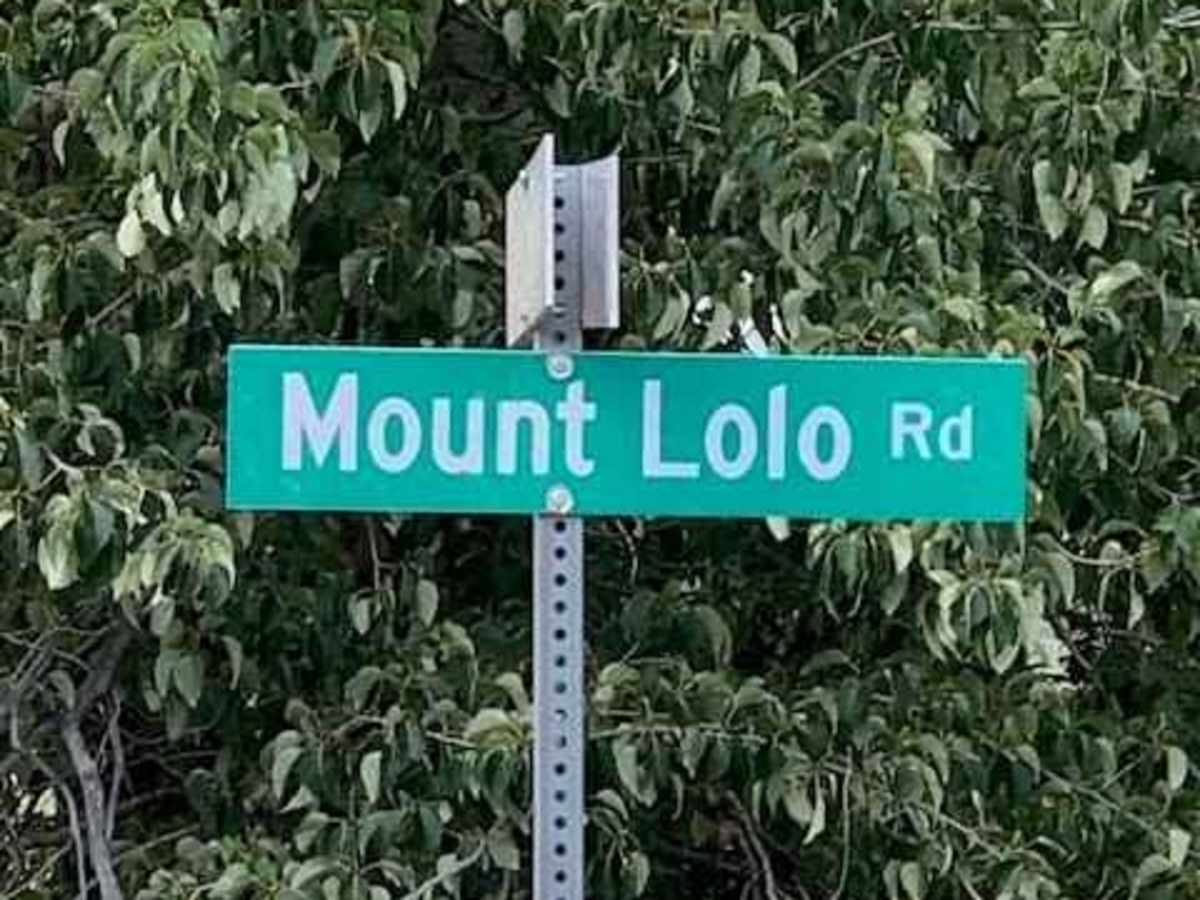 Mount Lolo Road  trail photo